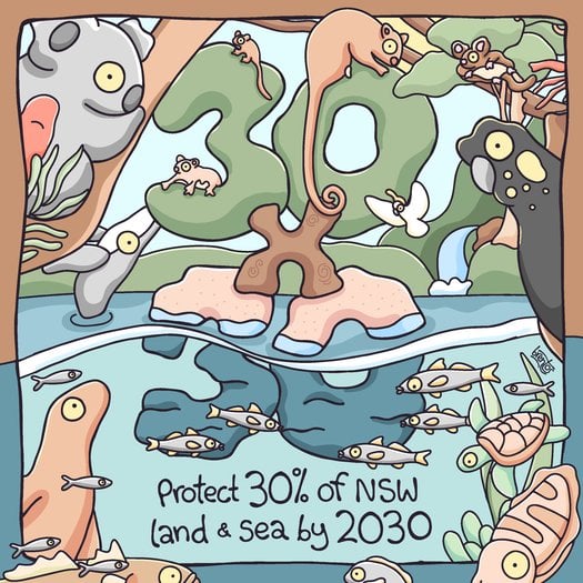 image of 30x30 - Protect 30% of NSW land & sea by 2030